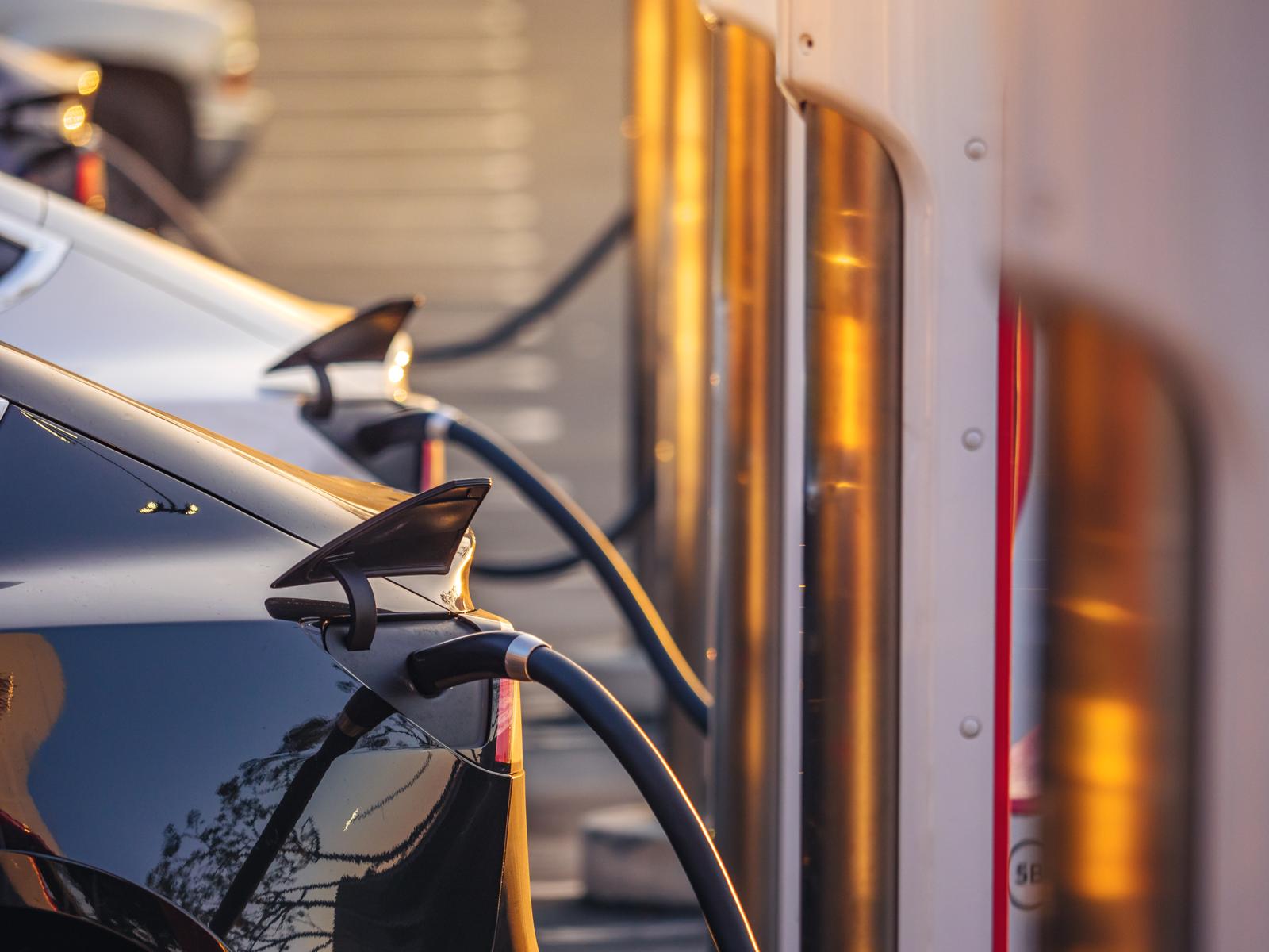 L’avenir électrique de Tesla: une voiture abordable à l’horizon